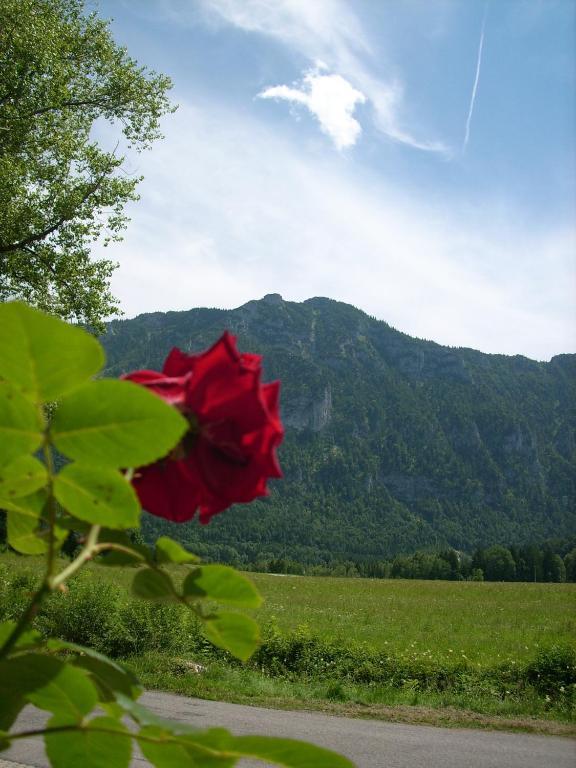 Gaestehaus Barbara Schwaiger Inzell Exteriör bild